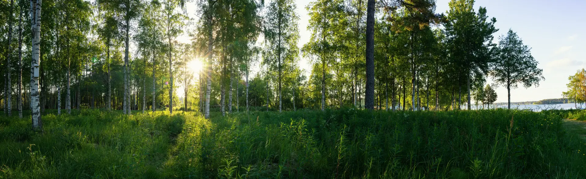 Byta FTX-aggregat Hallstahammar